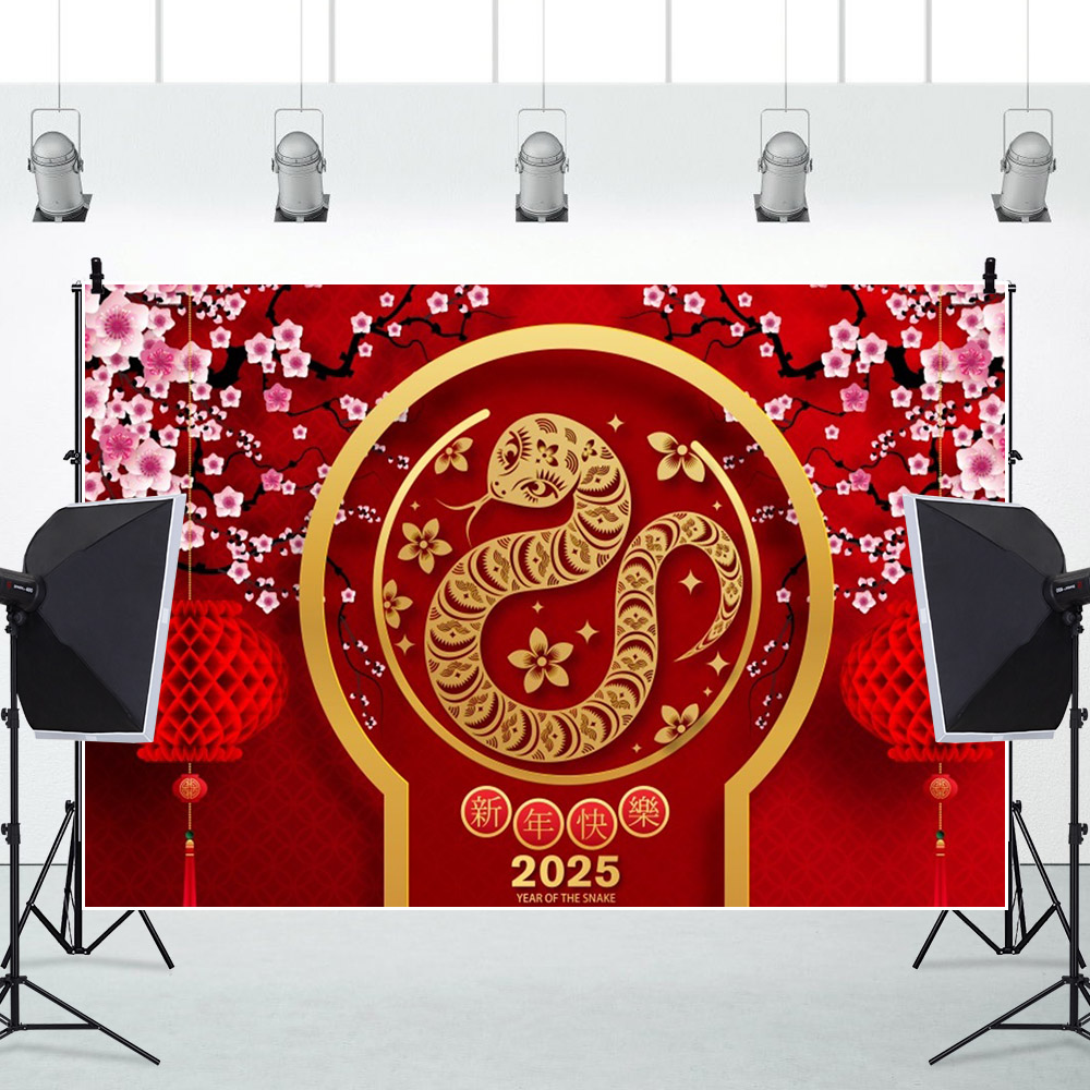 2025 새해 사진 배경 중국 스타일 뱀 빨간 랜턴 용 - Photography Of The Year 2025 리뷰 및 가격
